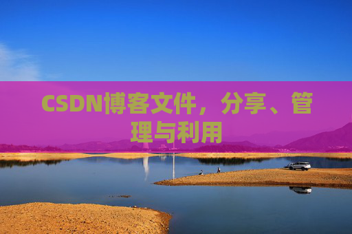 CSDN博客文件，分享、管理与利用
